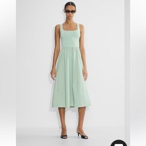 Aritzia Babaton Revive Dress